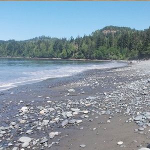 Meet your Posher, Anne